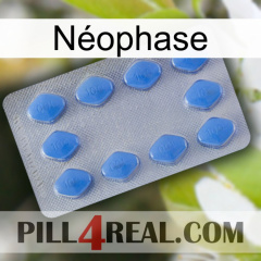 Néophase 21
